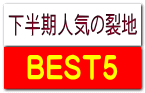 下半期人気の裂地