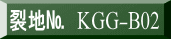 表装裂地№　KGG-B02