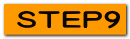 ＳＴＥＰ９