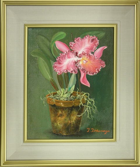 ���G�y�����E�萔�������z���i�ԍ��FCD�T�O�R�R�@�u�J�g���A�v�@���i�@�B�Ɓ@�����z������