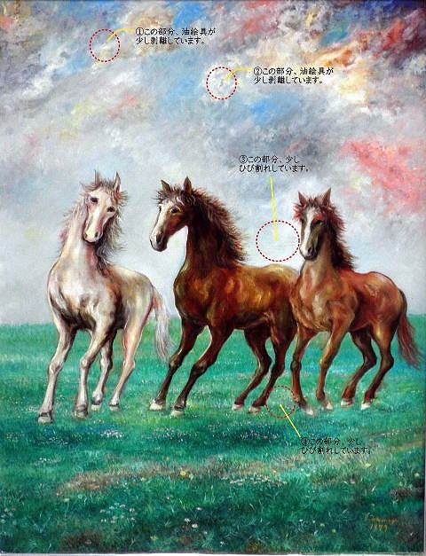 ���G�y�����E�萔�������z���i�ԍ��FCD�T�O�S�S�@�u���v�@���i�@�B�Ɓ@�󂠂�ӏ��摜