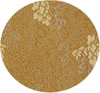 �\�����n���j�f�f�|�`�O�R�̊g��摜