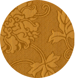 �\�����n���j�f�f�|�a�O�S�̊g��摜