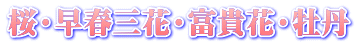 桜・早春三花・富貴花・牡丹