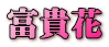 富貴花 