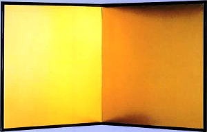 �O�ړ�ț����̊g��ʐ^������I