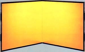 ���F��������̊g��ʐ^������I